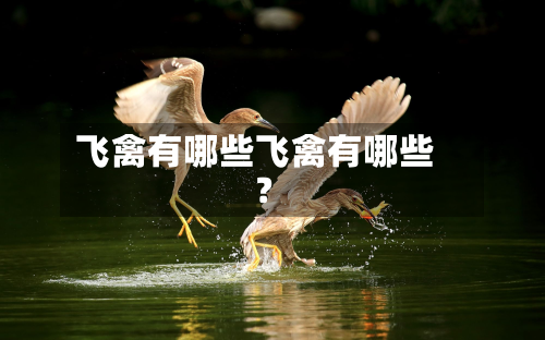 飞禽有哪些飞禽有哪些?