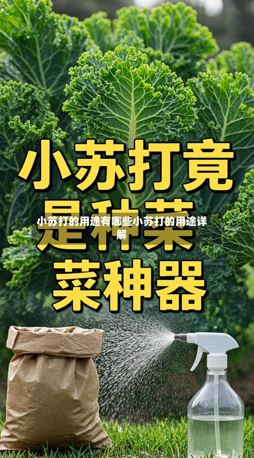 小苏打的用途有哪些小苏打的用途详解