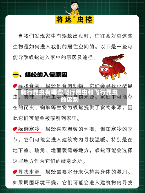 爬行昆虫有哪些爬行昆虫和飞行昆虫的区别