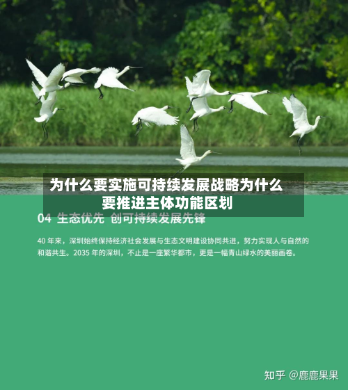 为什么要实施可持续发展战略为什么要推进主体功能区划