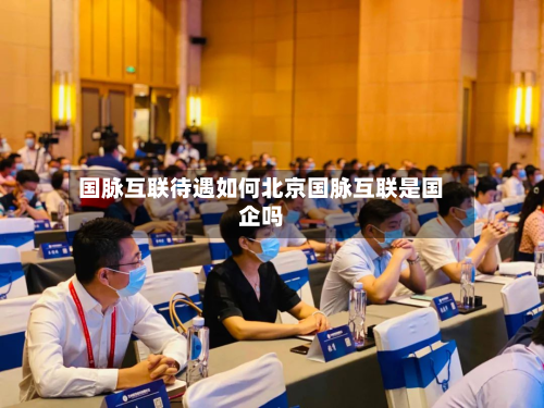 国脉互联待遇如何北京国脉互联是国企吗
